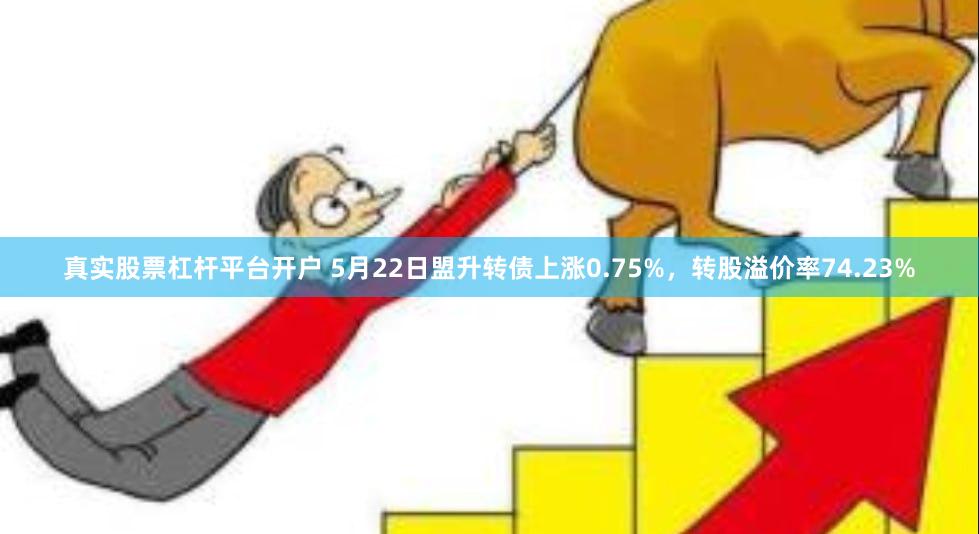 真实股票杠杆平台开户 5月22日盟升转债上涨0.75%，转股溢价率74.23%