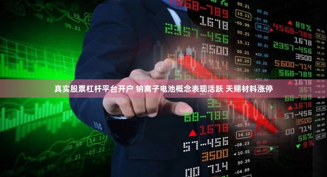 真实股票杠杆平台开户 钠离子电池概念表现活跃 天赐材料涨停
