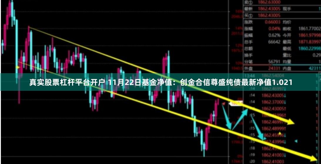 真实股票杠杆平台开户 11月22日基金净值：创金合信尊盛纯债最新净值1.021