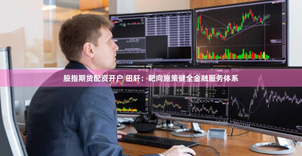 股指期货配资开户 田轩：靶向施策健全金融服务体系