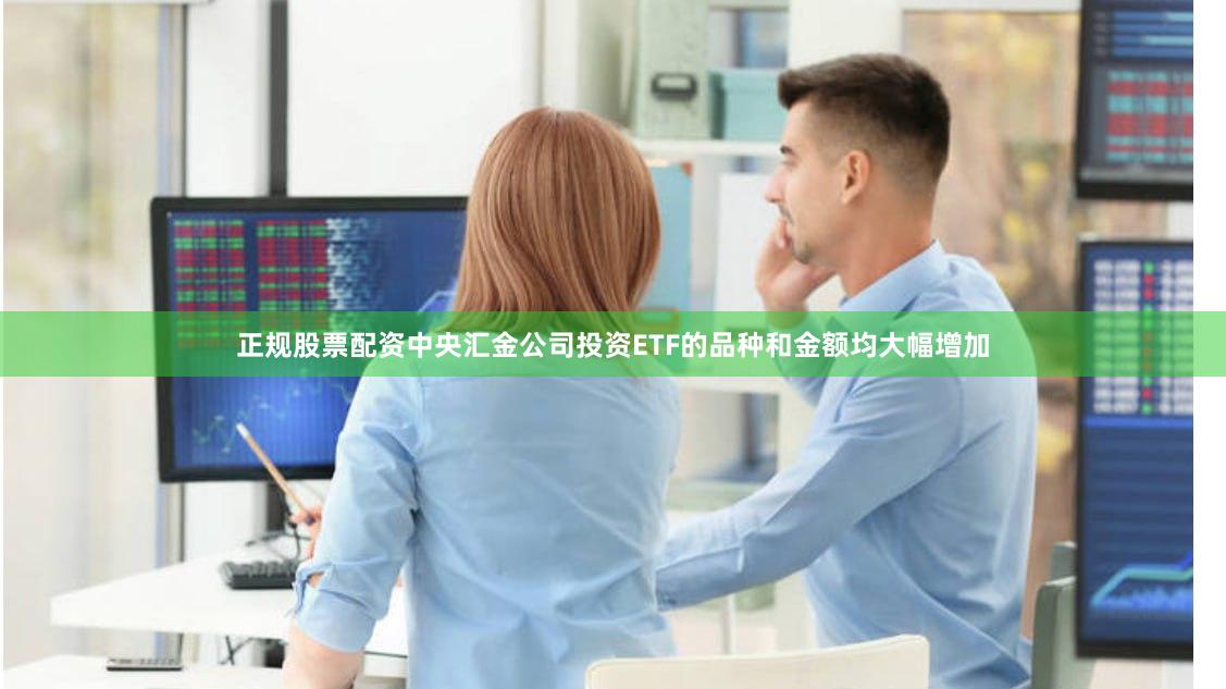 正规股票配资中央汇金公司投资ETF的品种和金额均大幅增加