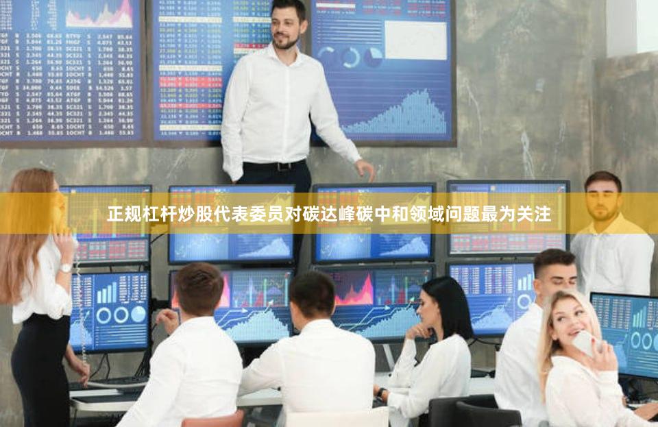 正规杠杆炒股代表委员对碳达峰碳中和领域问题最为关注