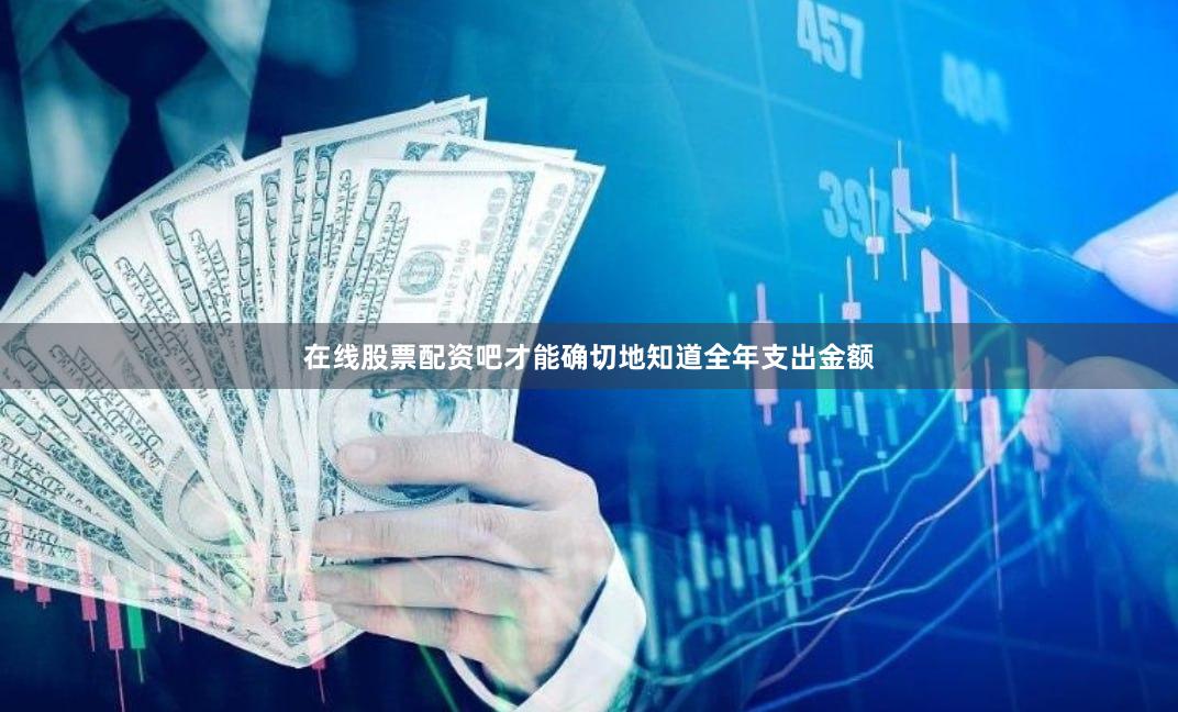 在线股票配资吧才能确切地知道全年支出金额